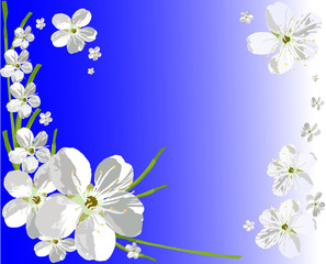 рамка цветов