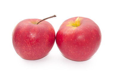 fruit