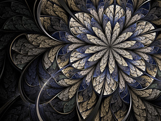 Winter cold fractal flower