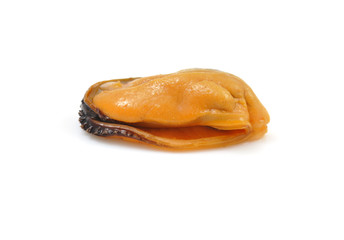Mejillón.