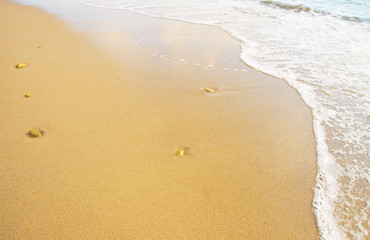 Fototapeta na wymiar wave and beach
