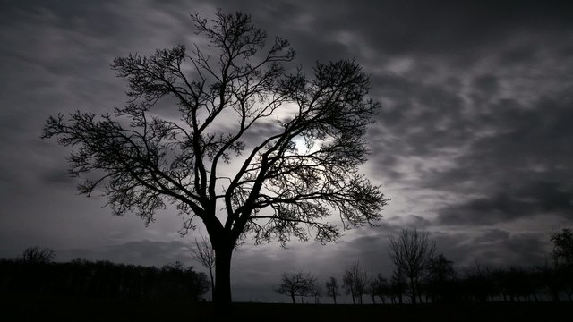 Moonlight Timelapse