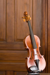 Violin with Wooden Door