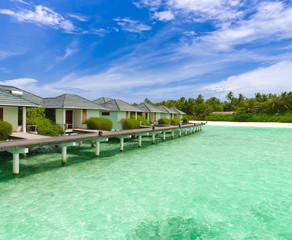 Tropical Waters