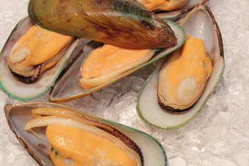 frische grünschalmuscheln © Tobif82