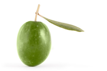 oliva verde
