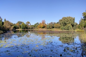 jardin botanique de montreal