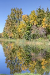 jardin botanique de montreal