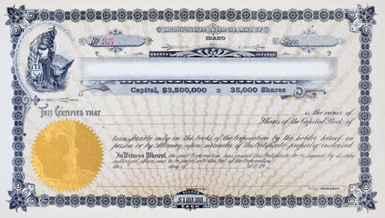 XL Vintage Stock Certificate Vignette Woman American Flag Moose