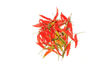 Obraz premium dry red chili