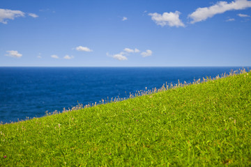 Green grass, the sea and blue sky