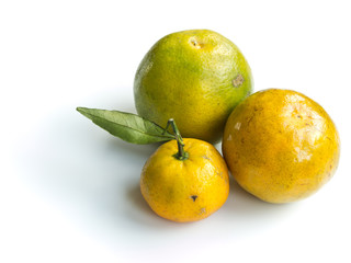 Group of oranges isolated on white background