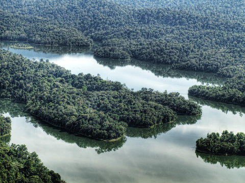 Tropical landscape