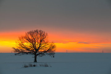 Sunrise on the field in winter