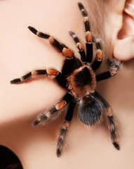 girl with spider