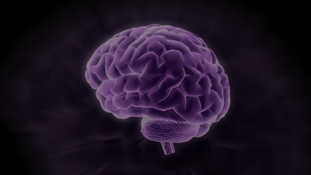 Gehirn - Background Animation