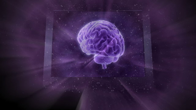 Gehirn - Monitor - Background Animation