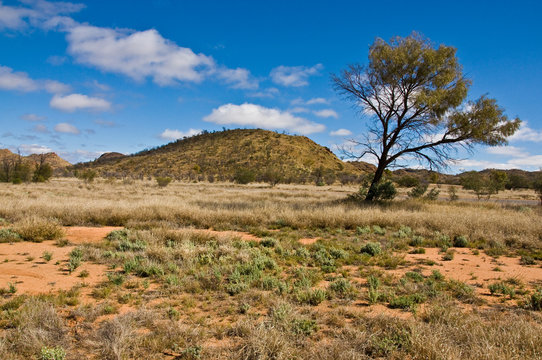australian landscape in the northerm territory