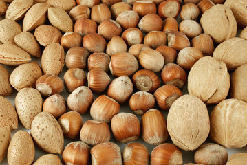 mandorle nocciole noci