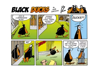 Foto op Plexiglas Strips Black Ducks Comic Strip aflevering 59