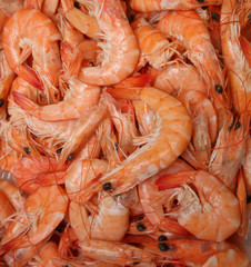 shrimps