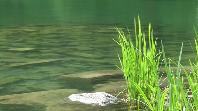 An der Wasser Quelle Video