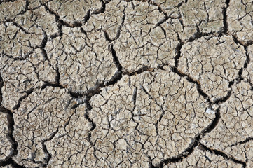 Texture Of Earth