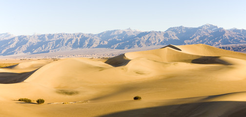 Fototapeta na wymiar Stovepipe Wells sand dunes, Death Valley NP, California,USA