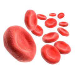 3d Isolated blood cells - 28233820
