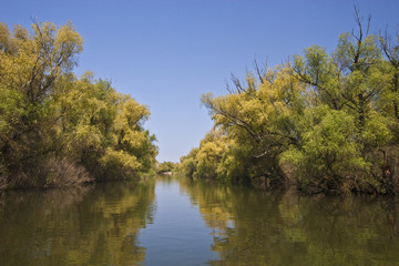 river channel