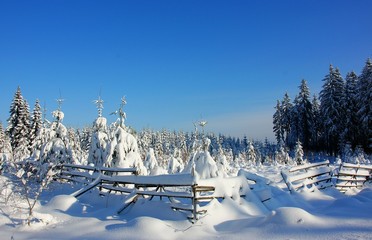 Winterlandschaft