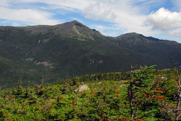Fototapeta na wymiar New Hampshire Góry