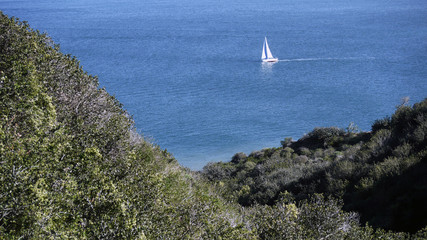 Sailboat - San Diego, California