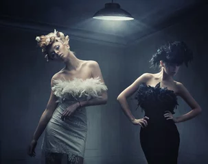 Stoff pro Meter Vogue style photo of two fashion ladies © konradbak
