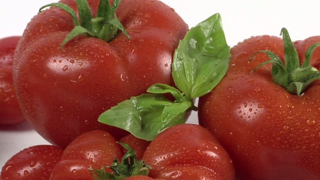 video movimento pomodoro e basilico