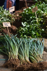 Brive la Gaillarde (Corrèze) - Scène de marché