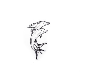 Fototapeta premium Tattoo art, sketch of a dolphin