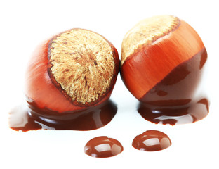 Hazelnut Chocolate