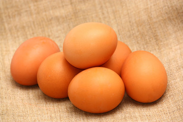 chicken eggs