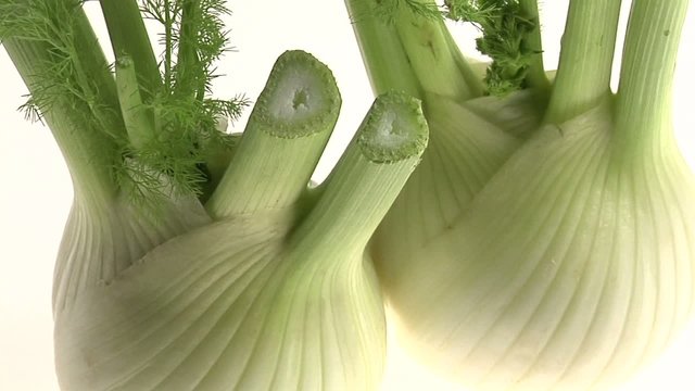 video finocchio