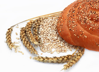 Bread
