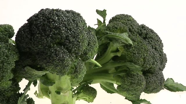 video broccoletti