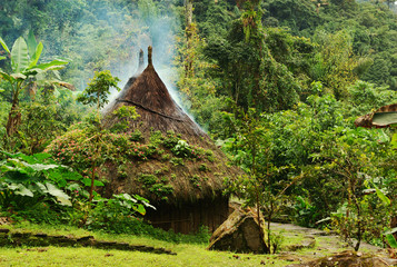 Small kogi hut in Northern Colombia