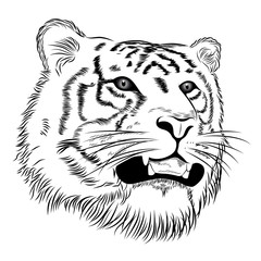 Naklejka premium Vector tiger represented in the form of a tattoo