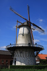 Windmühle in Zeeland