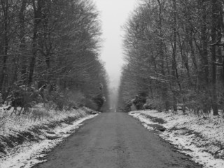 Schönbrunner Allee 1