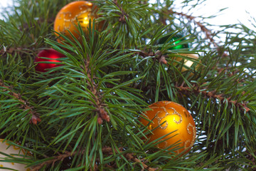 Christmas fir with decoration