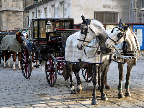 fiaker in wien
