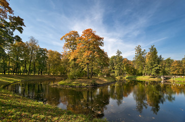 Fototapeta premium Autumn in the beautiful park