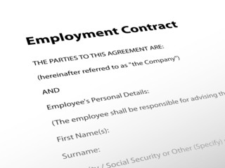 Employment Contract (document human resources job employee form)